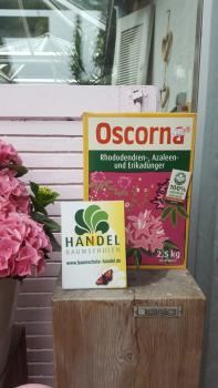 Oscorna's Rhododendrondünger 2,5 kg