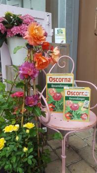 Oscorna's Rosendünger 1 kg